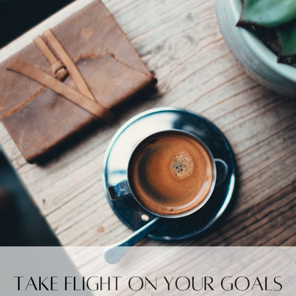 ✨Take Flight on your goals & dreams ✨