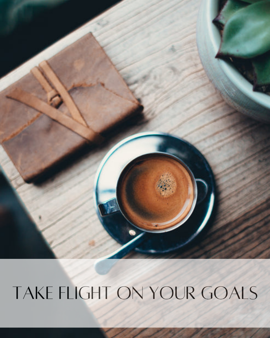 ✨Take Flight on your goals & dreams ✨